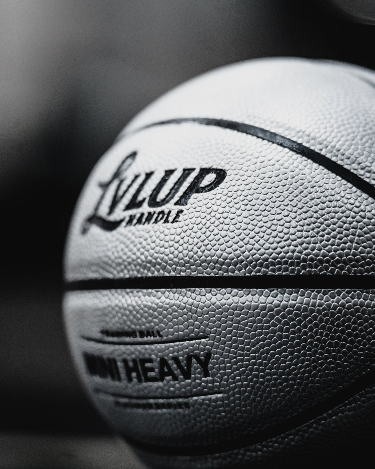 LVLUP Mini Heavy Training Ball • Platinum Series - LVLUP HandleLVLUP Handle